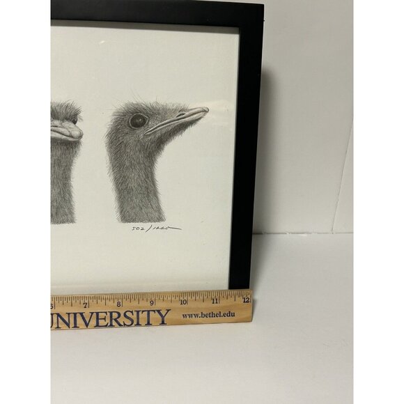Lou Ferreri Ostriches Print Signed 1991 Edition 502/1000 St Paul Mn Black Frame - Picture 7 of 10